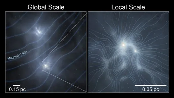 Artist impressions of the magnetic field distribution around and within the molecular cloud clumps.