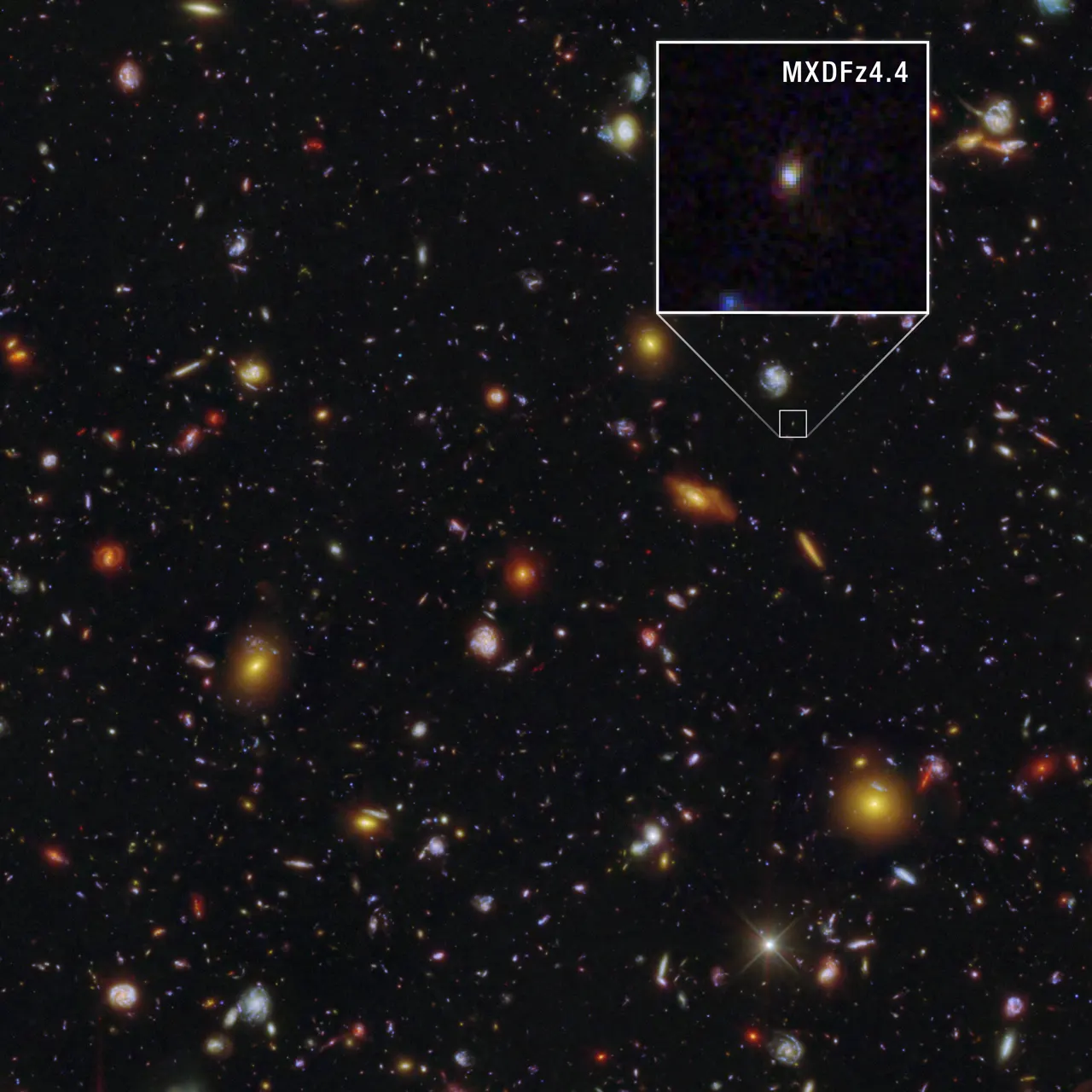 Thousands of galaxies appear across the black background of space. The galaxies range in size, from big blobs and larger face-on spirals to short lines and tiny dots. The galaxies appear in a variety