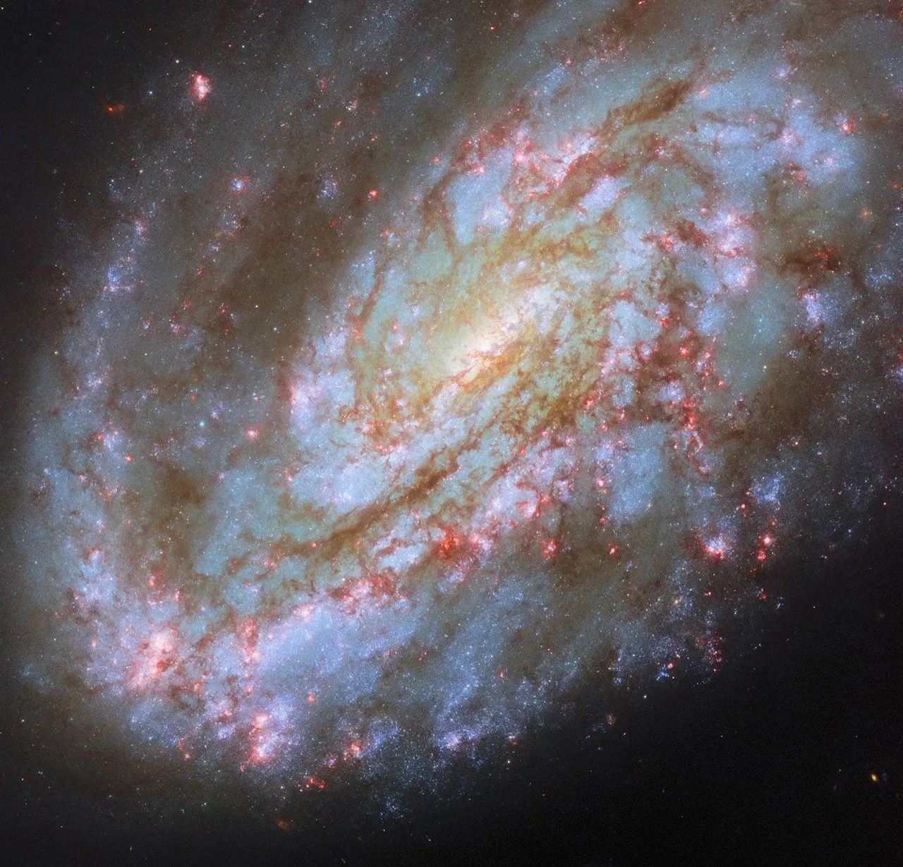 A spiral galaxy. It has a prominent spiral arm on one side (lower left) and a wide, glowing core. Dark brown filaments of dust swirl through its disk, while blue clusters of stars are visible mostly g