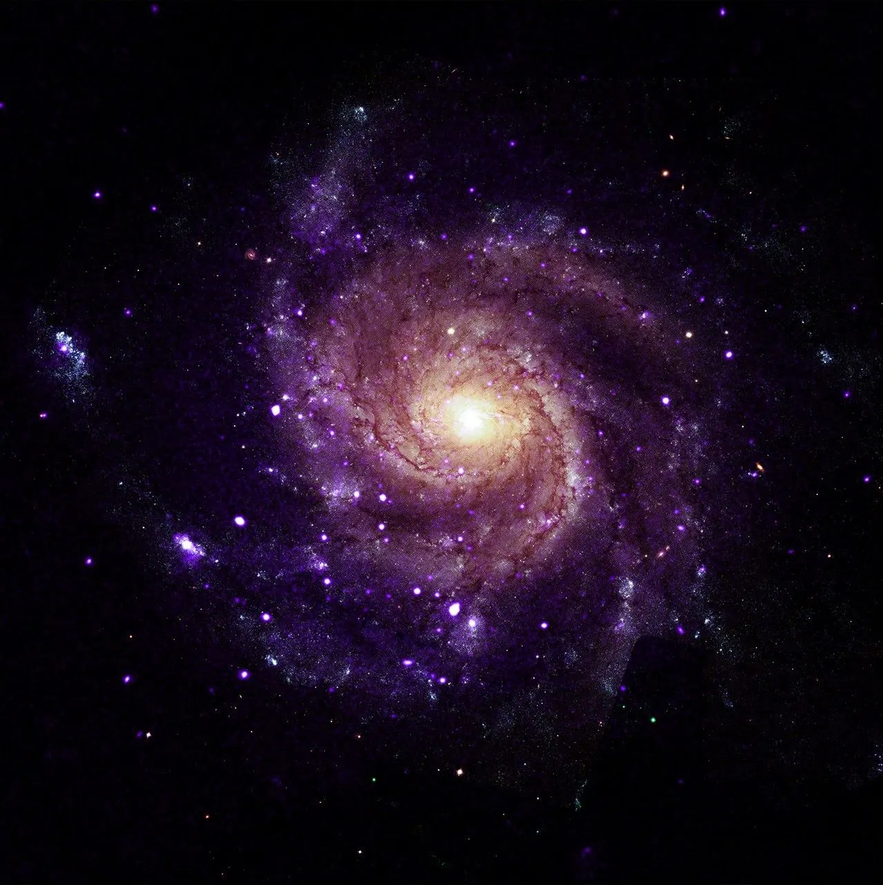 Researchers found 84 so-called hypersoft X-ray sources in M101, Messier 31, and four elliptical galaxies. This newly-discovered class of objects give off very low-energy X-rays and likely high levels