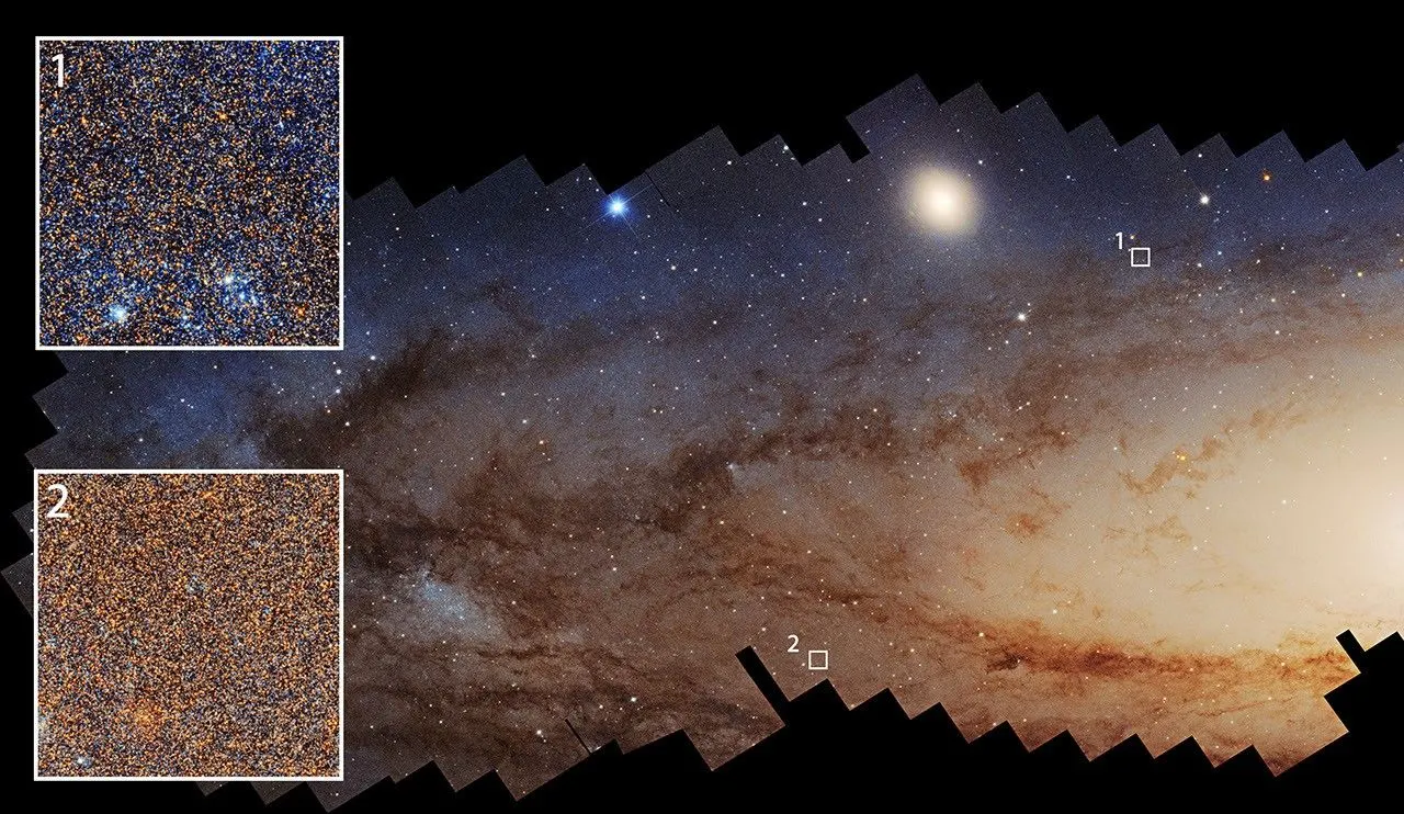 The left half of the disk of the Andromeda galaxy, with a jagged outer edge at the top and bottom on a black background. At right, the galaxy’s center is a horizontal yellow oval extending across abou