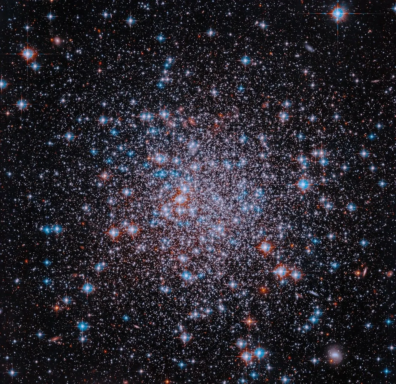 A compact grouping of a multitude of stars shine in red, white and blue against the dark background of space. The stars are more densely collected toward the center of the cluster.