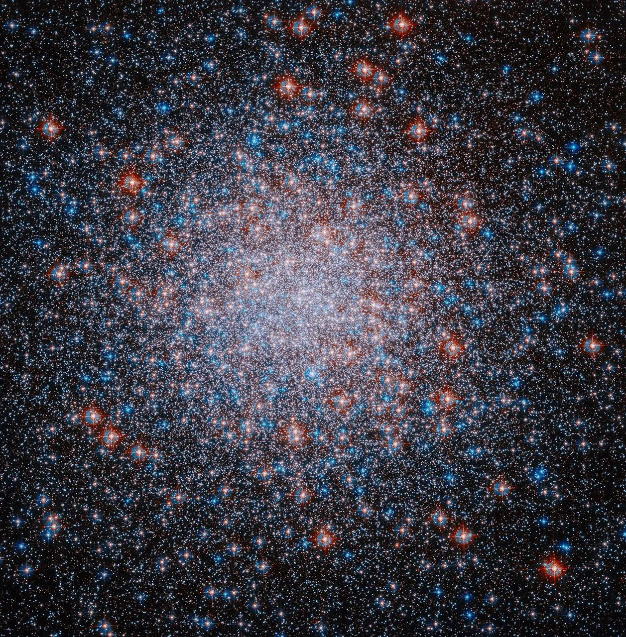 A packed, roughly spherical cluster of red, white and blue stars shines against the black background of space. The stars are clustered most densely toward the center of the cluster.
