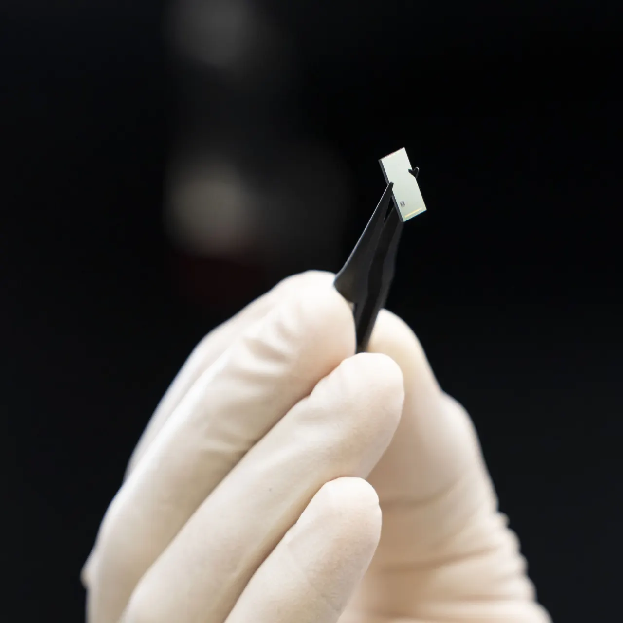 Close-up of a gloved hand holding tweezers that are grasping a tiny rectangular chip.