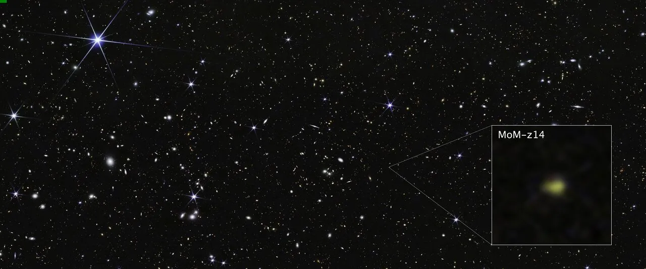 COSMOS Field MoM-z14 Galaxy (NIRCam pullout image)